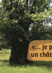 Le châtaignier en Cévennes !