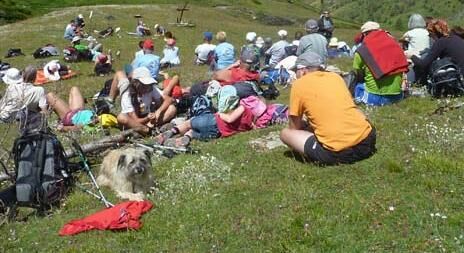 Le bonheur est dans le pré