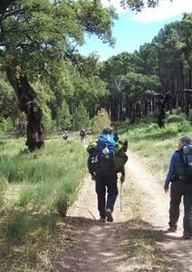 Le chemin met l’esprit en marche