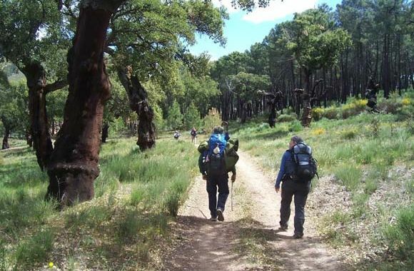 Le chemin met l’esprit en marche
