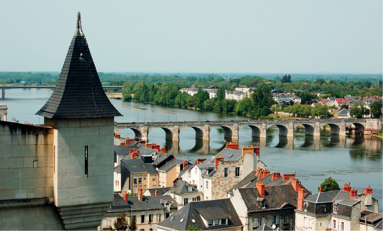 Saumur et son Académie*