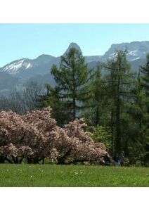 Chrétiens chlorophylles – Garder le jardin