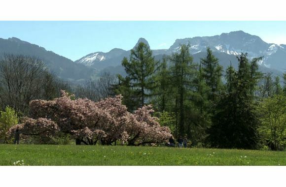Chrétiens chlorophylles – Garder le jardin