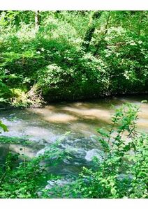 Balade matinale contemplative