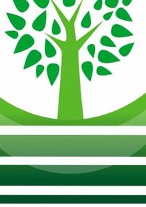 La Fondation du protestantisme