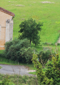 Une petite chapelle, lieu de témoignages