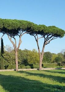 Dans l’épaisseur du temps