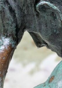 Job, un doute salutaire !