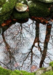 Revenir (sans cesse) à la source