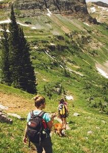 Le pèlerinage,  un rendez-vous  avec l’inattendu