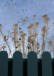 Notre vie de communauté continue