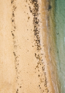 D’amour et d’eau fraîche