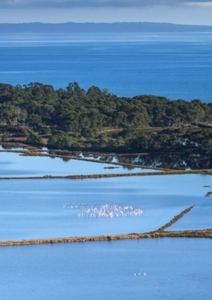 Protéger et sensibiliser