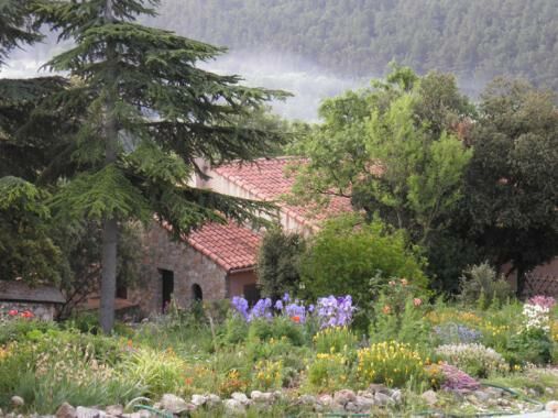 Pastorale régionale