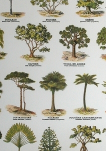 Entretien avec Louis Albert de Broglie