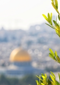 La Bible en ses jardins