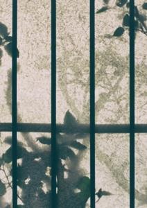 Les jardins en prison