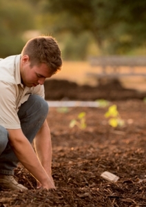 Lorsque le jardin vous choisit
