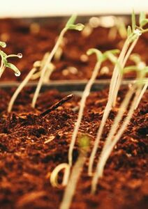 Apprendre à témoigner