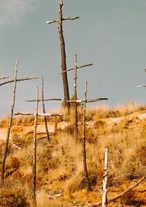 Un verbe à connotations multiples