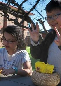 Dans l’hémisphère sud