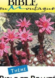 « Bible et Beauté »