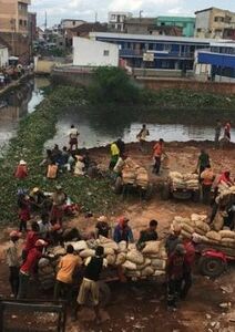 Le Covid à Madagascar