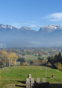 Un synode décentralisé, pourquoi faire ?