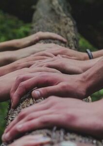 Naissance d’une équipe