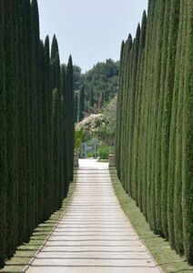 Un cimetière peu commun