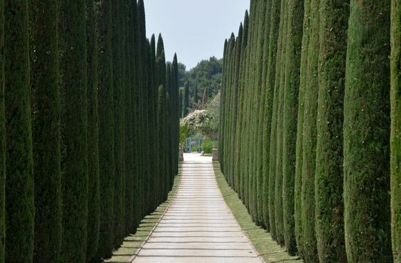 Un cimetière peu commun