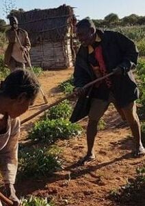 Les Églises face à de multiples défis