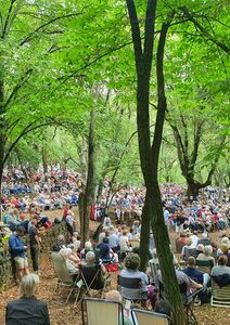 Fratricide et fraternité