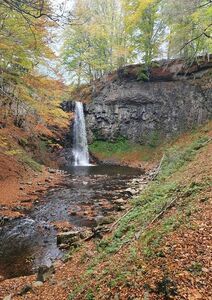 Le salut et la force