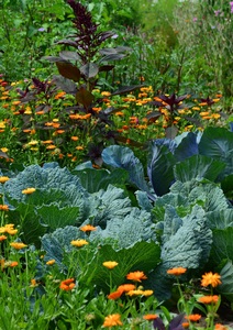 Une transition personnelle