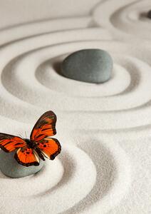 Le désert, une divine transition ?