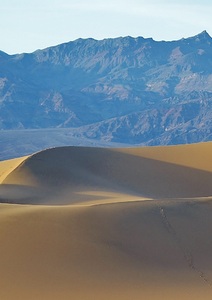 Qu’est-ce qui nous met en transition ?