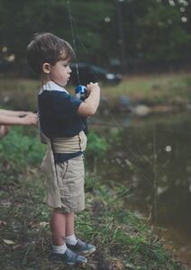 Regard du père, libération des fils