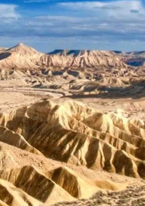 Voyage en Palestine avec le CCFD : Une expérience qui ne laisse personne indifférent !