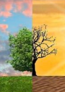 Formation : L’éco-anxiété, un défi pour l’Église