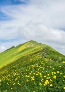 Être accepté, reprendre confiance et avancer