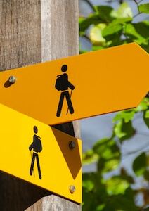 Casting pastoral au premier juillet