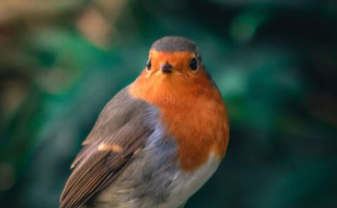 Seigneur, je sais qu’à chaque jour suffit sa peine