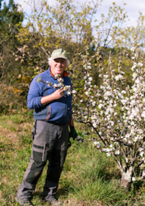 À la découverte des plantes de la Bible