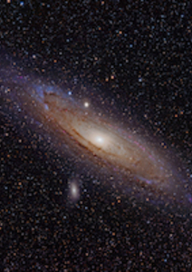 Aux origines de la vie : vous avez dit « hasard » ?