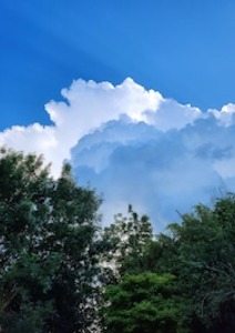 Dans les yeux de Dieu, tout brille