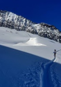 Sur les hauts sommets