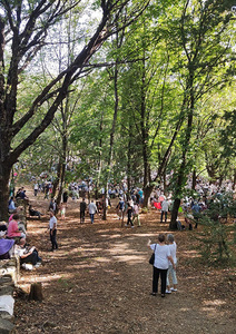 Assemblée du Désert 2023 : Voyageurs sur la terre et la mer, des huguenots au grand large