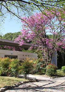 Conversions : Cours public à la Faculté de Théologie