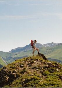 « Espérer pour le vivant », nouvelle dynamique pour Bible & Création